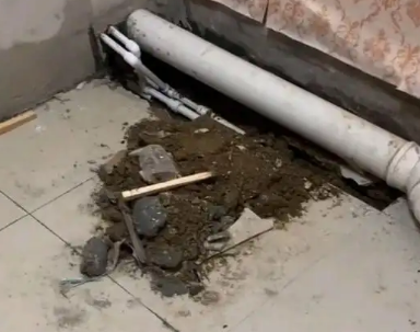 德兴卫生间漏水检测哪家好